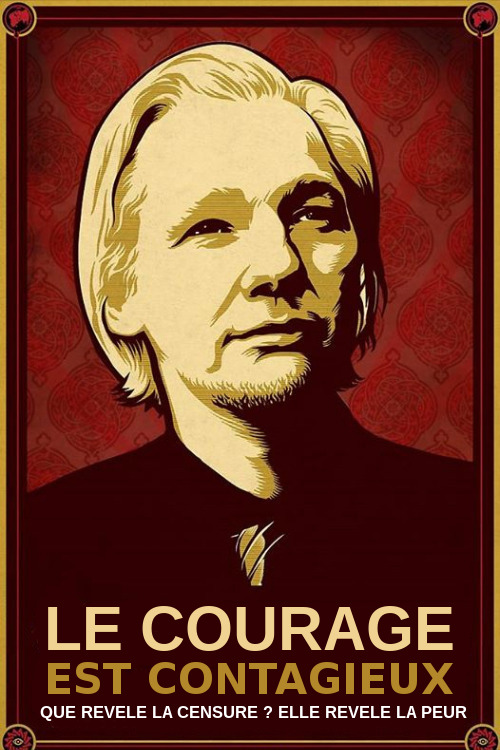 Libérez Julian Assange de sa prison médiatique (premiers signataires)