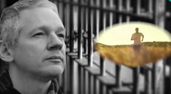 Libérer Julian Assange : Première partie (ContraSpin)